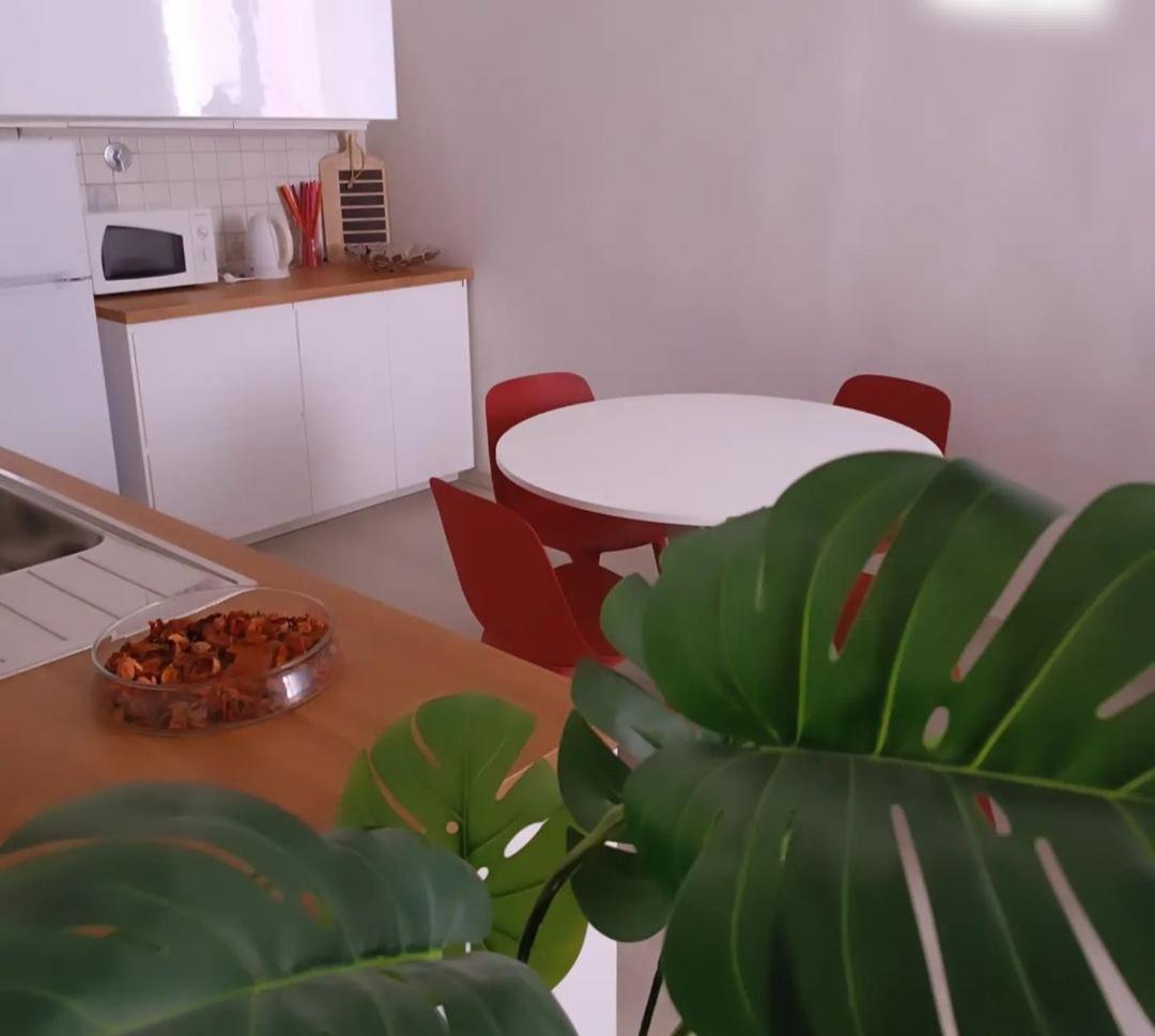 Handy House 佛罗伦萨 外观 照片